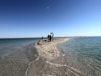 Image1b